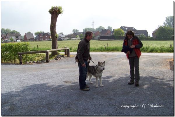 Zuchtzulassung 2010 008.JPG